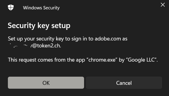 Security Key Setup Screenshot