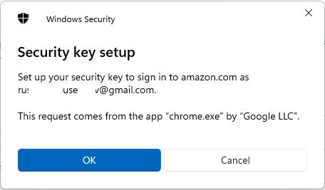Windows Security: Continue setup