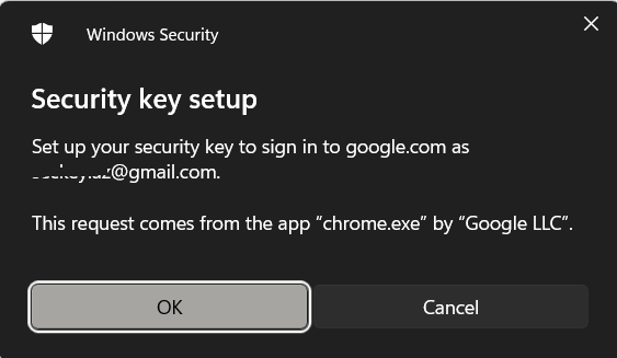 Windows Security: Security key setup