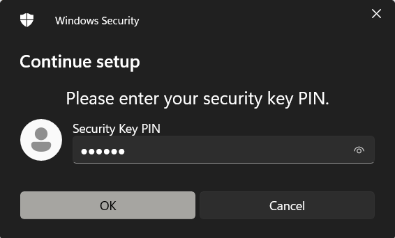 Windows Security: PIN prompt