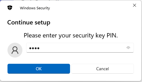 Windows Security: PIN prompt